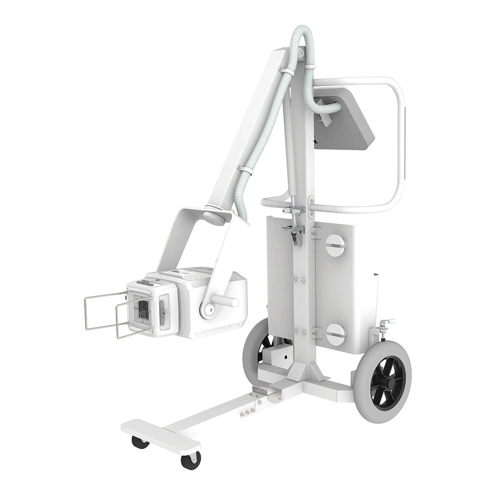 Radiografia da coluna