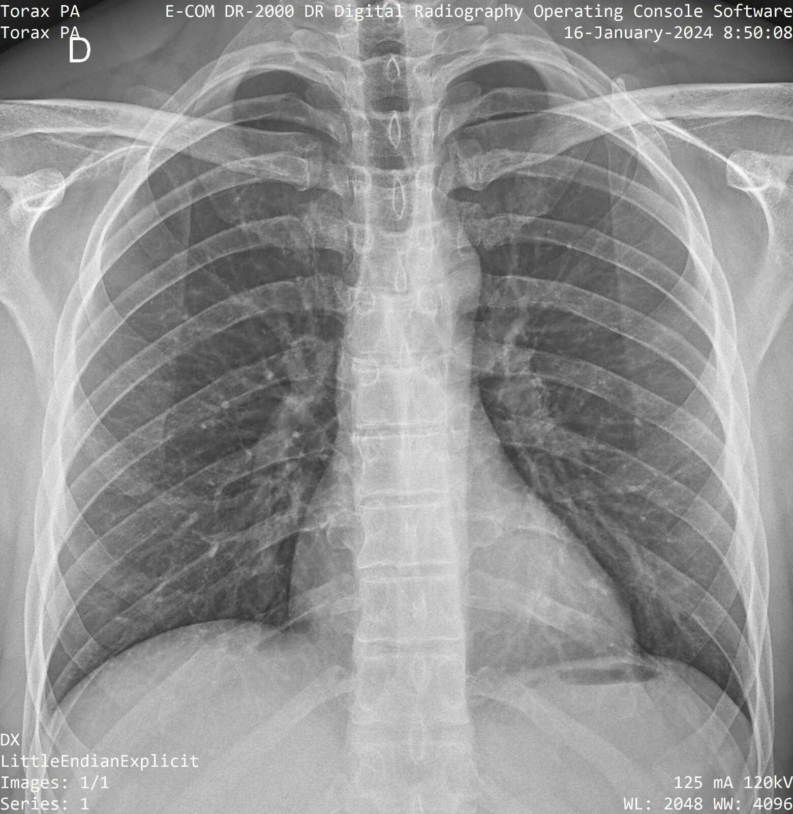 Serviço de medicina ocupacional